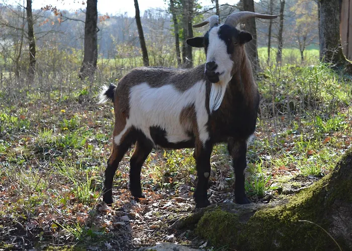 Le Pecher - Proche Sarlat Сasa de vacaciones